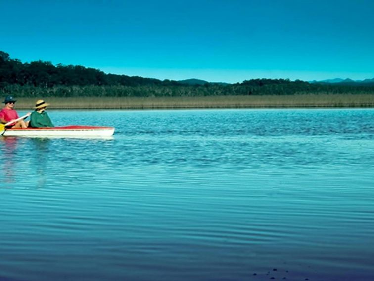 Cudgen Nature Reserve. Photo: John Spencer/NSW Government