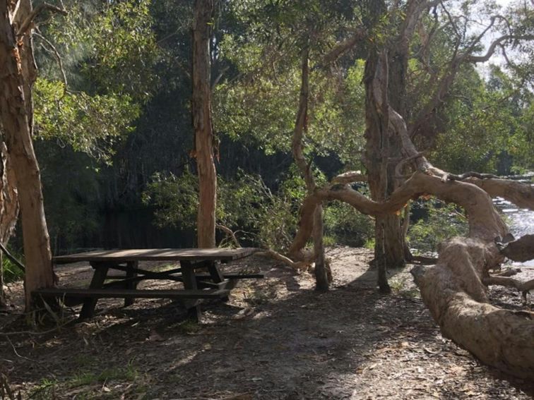 A picnic table at Cudgen Lake. Photo: Jessica Stokes &copy; OEH