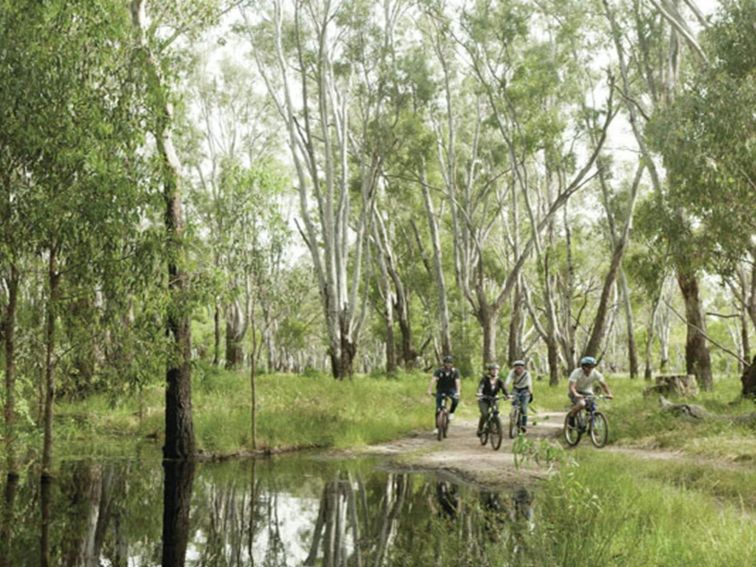 Cyclists, Murray Valley National Park. Photo: David Finnegan &copy; DPIE