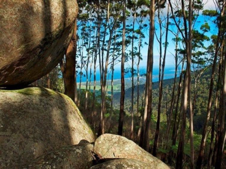 View of the ocean from Gulaga (Mount Dromedary)