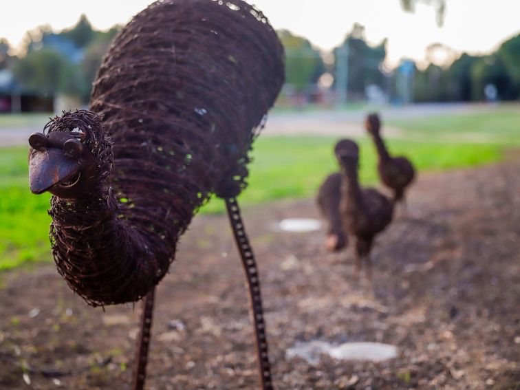 Emu Family