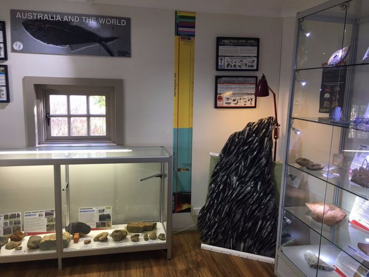 Ulladulla Fossil House Display