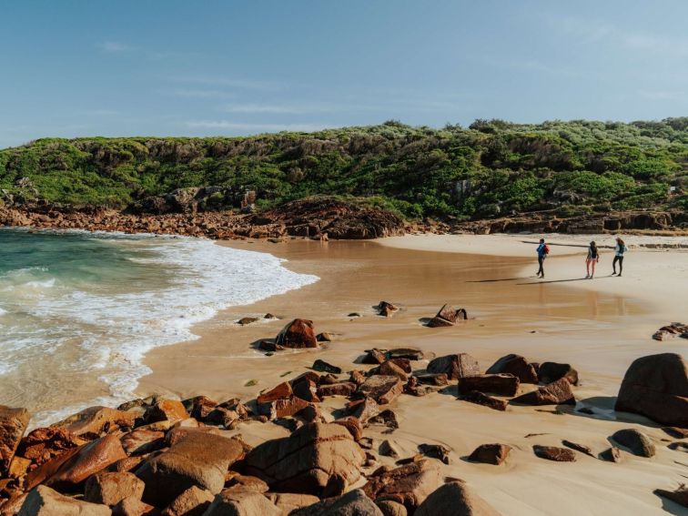 Tomaree Coastal Walk | NSW Government