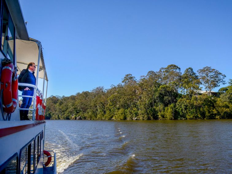 cruise, river, boat, tour, shoalhaven, nowra, nature, adventure