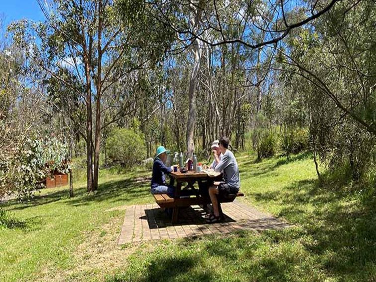 Picnic table at Dangars Falls picnic area in Oxley Wild Rivers National Park. Photo credit: Barbara