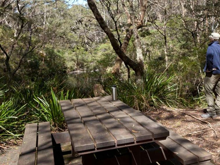 Dasyurus picnic area table, Monga National Park. Photo: Lucas Boyd &copy; OEH