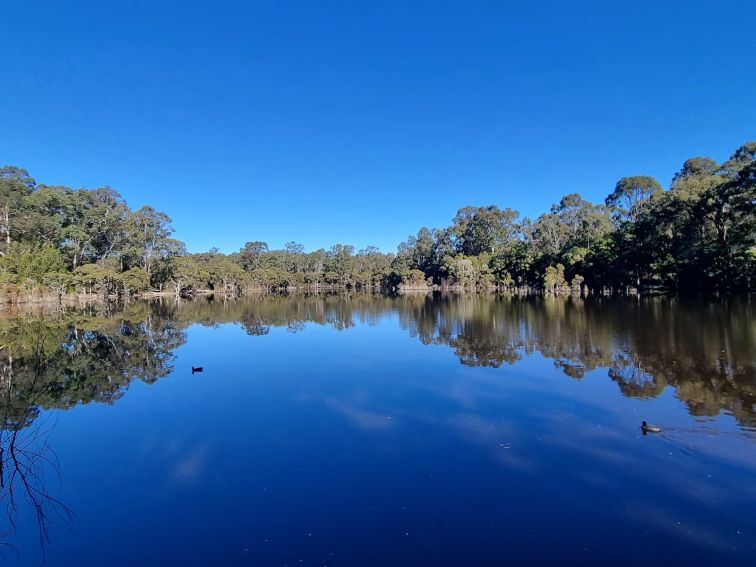 Poppet Head Dam