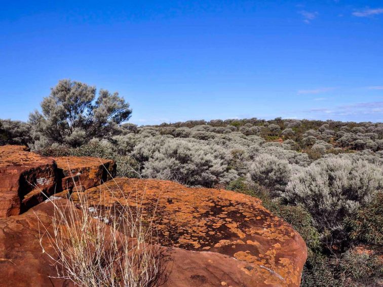 Ngiyampaa walking track, Mount Grenfell Historic Site. Photo: NSW Government