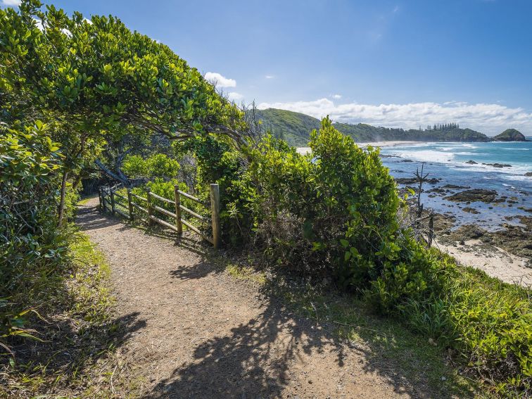 Shelly Beach Coastal Walk Arch