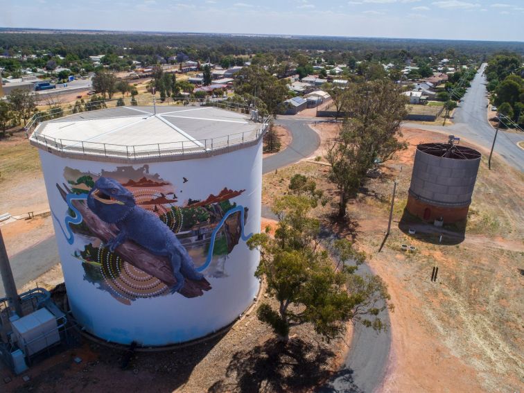 Aerial view of the Narrandera Water Tower lizard mural