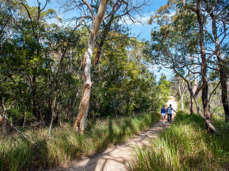 Walking Manly Dam