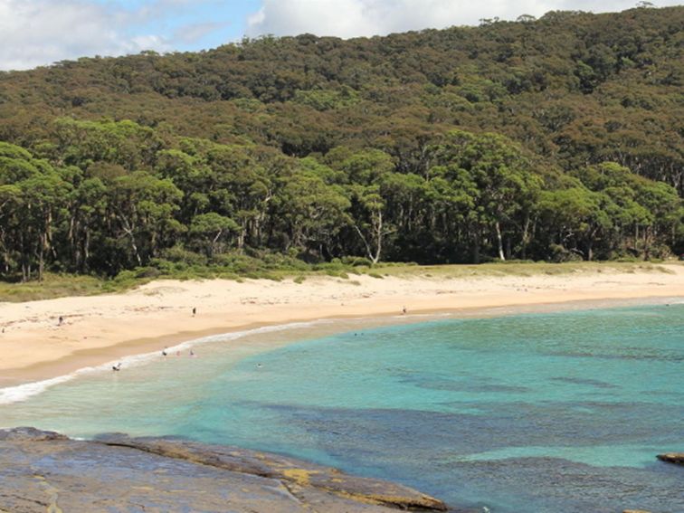 View over Depot Beach towards Depot Beach picnic area. Photo: John Yurasek/DPIE