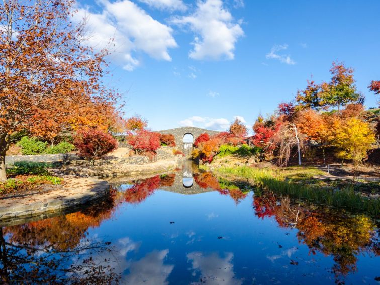 Autumn Colours and the Blue Stone Bridge at Mayfield