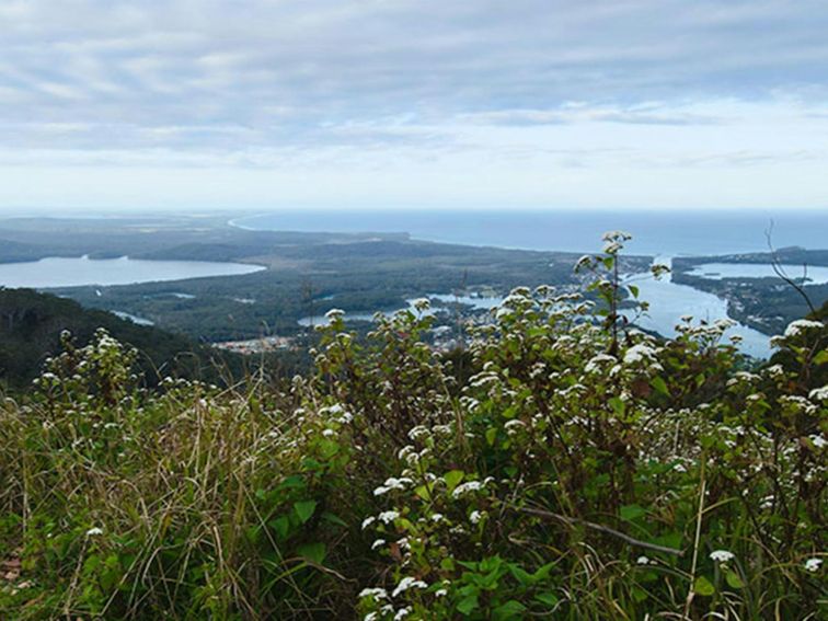 Dooragan lookout, Dooragan National Park. Photo: John Spencer/NSW Government