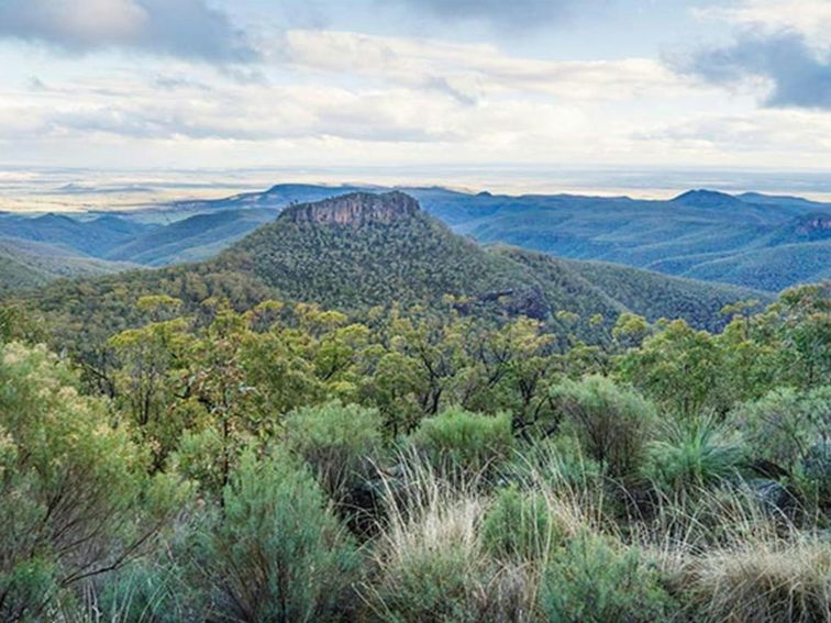 View of the Warrumbungles from Doug Sky lookout in Mount Kaputar National Park. Photo: Simone