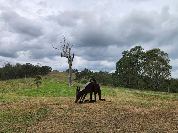 Sculpture Trail - Dungog Common