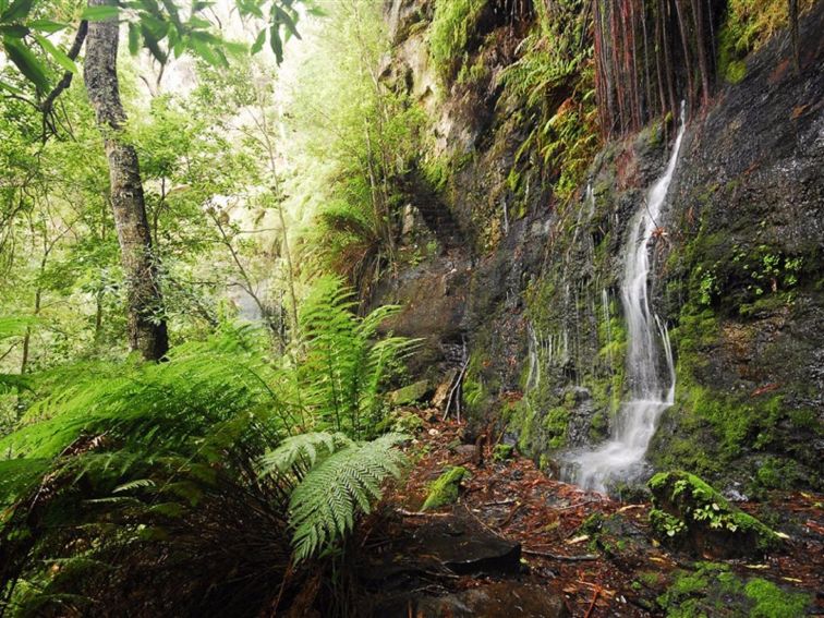 Fairy Bower Falls