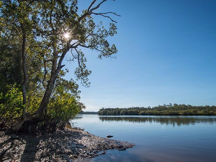 Karuah Nature Reserve