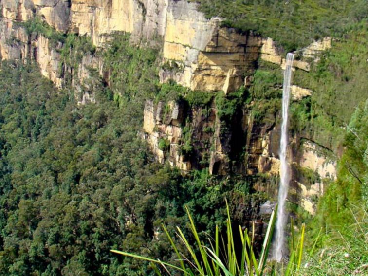 If you’re after an energetic walk while taking in the natural beauty of Blue Mountains National Park