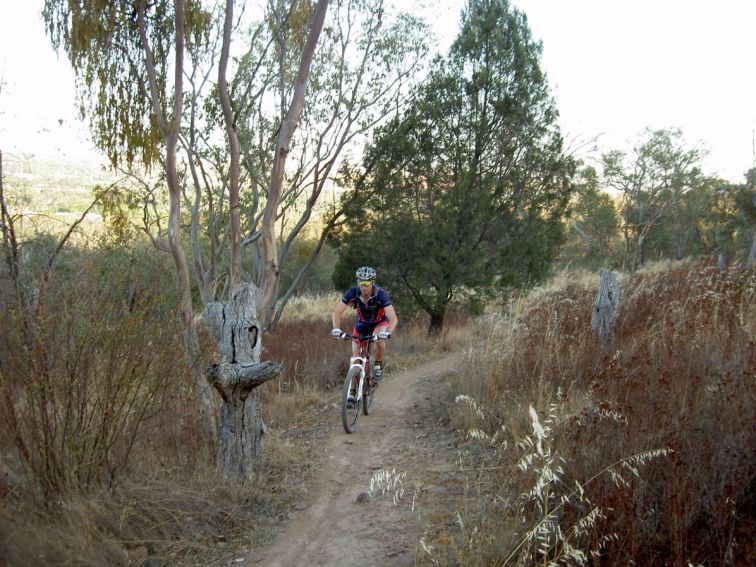 Mountain bike track