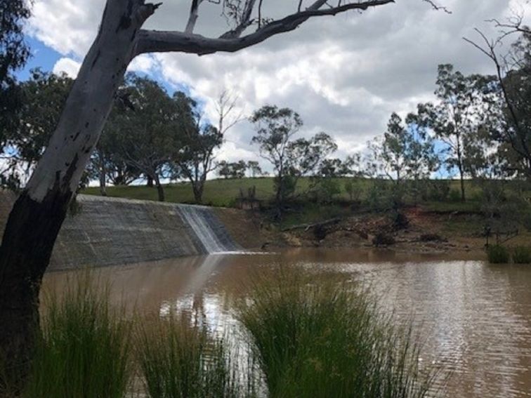 Bogan Weir flowing