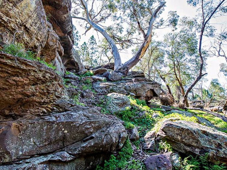 Woolshed Falls walking track, Cocoparra National Park. Photo: John Spencer