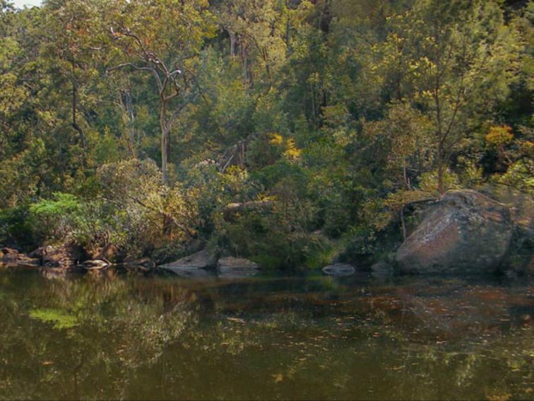 Blue Pool walking track