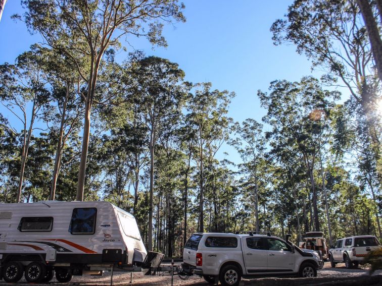 Bodalla State Forests can accommodate caravans and campervans