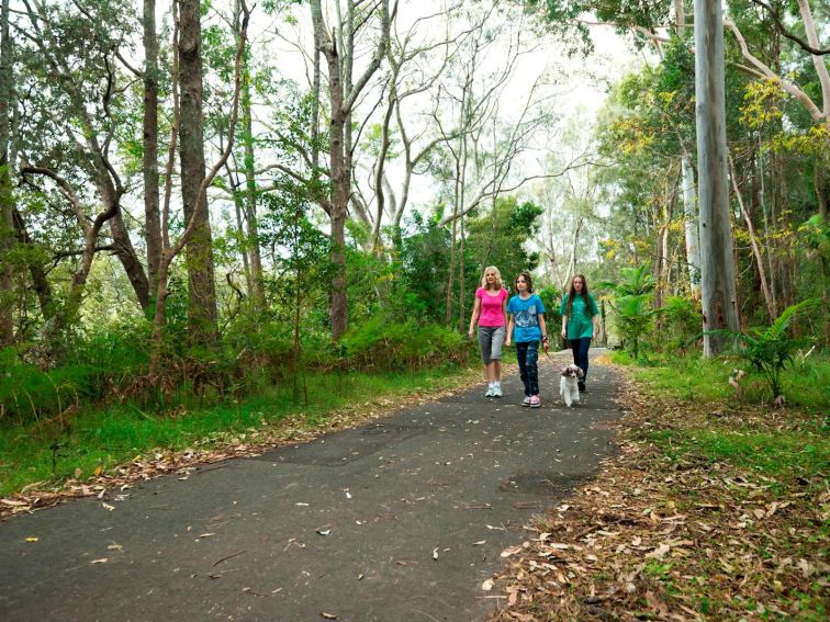 Coffs Creek Loop