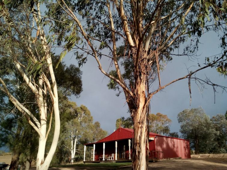 Karen James Art Gallery & Studio, exterior. Bathurst.