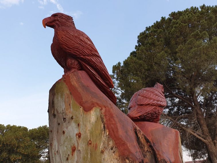 Malleefowl behind eagle