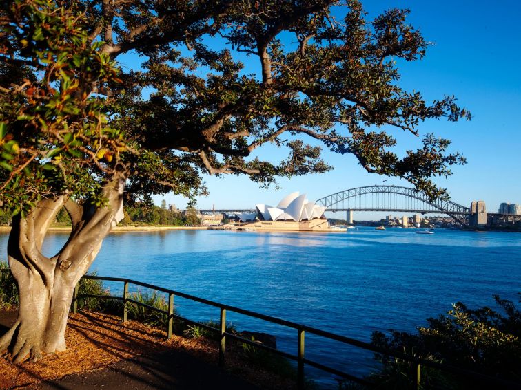 Mrs Macquaries Point- Royal Botanic Garden Sydney