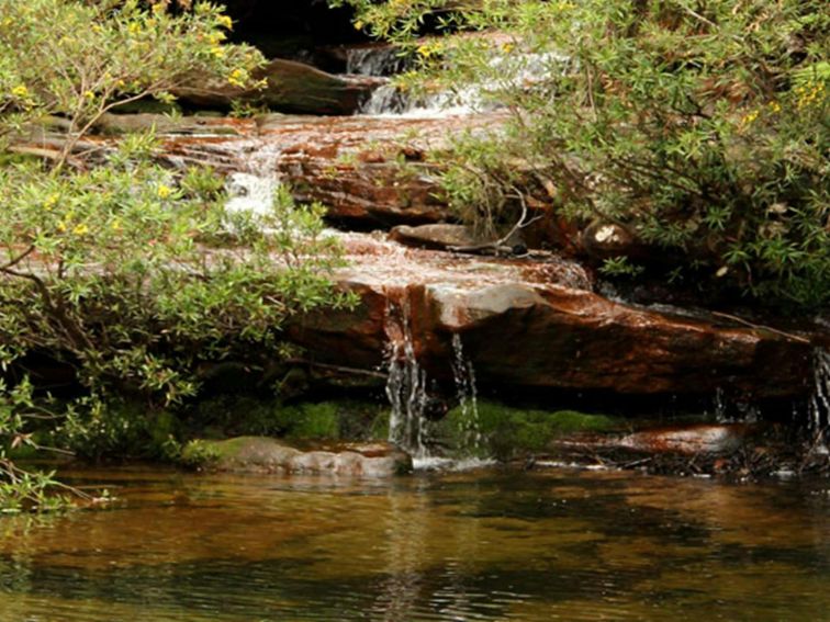 Emerald Pool, Popran National Park. Photo: John Yurasek &copy; DPIE