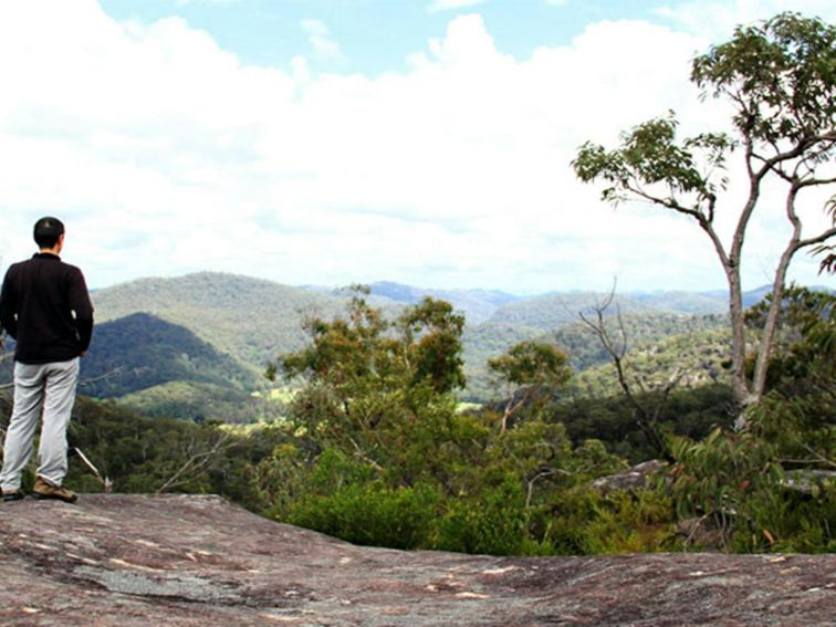 Emerald Pool loop walking track, Popran National Park. Photo: John Yurasek &copy; DPIE