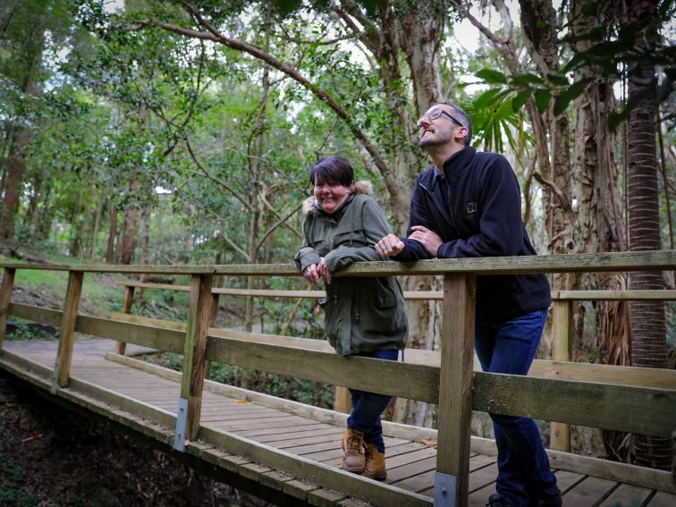 Rainforest walk