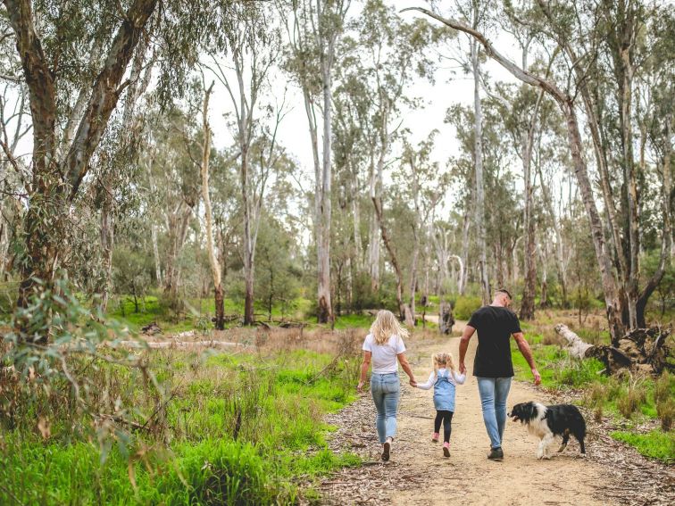 Family walking through bushland