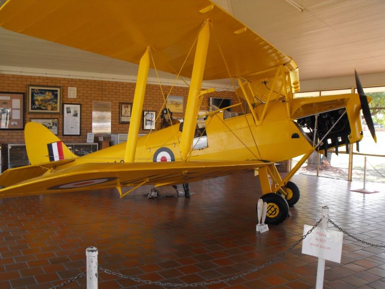 Tiger Moth