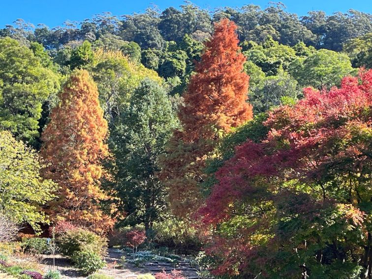 Autumn colours