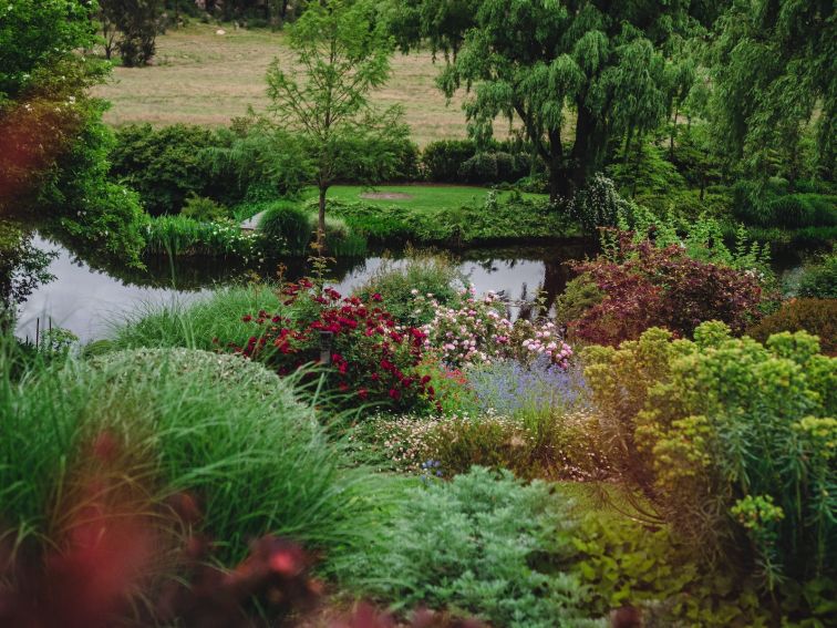 Summer view of the lake