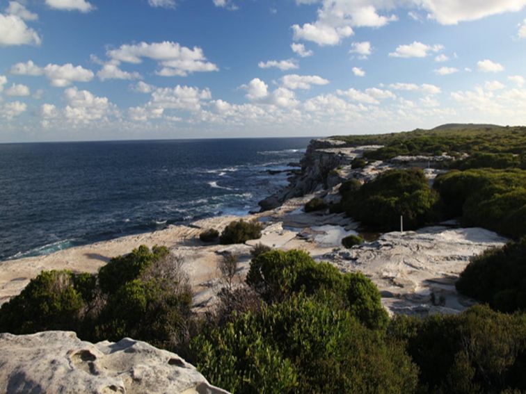 Cape Solander, Kamay Botany Bay National Park. Photo: Andy Richards