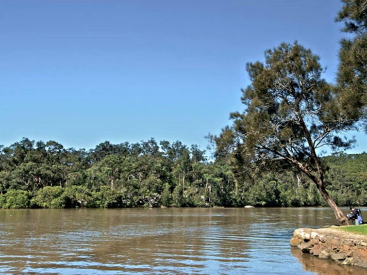 Fitzpatrick Park picnic area, Georges National Park. Photo: John Spencer