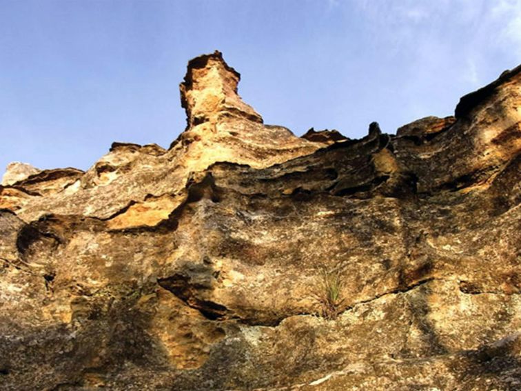 The Newnes Plateau Cliffs, Gardens of Stone National Park. Photo: R Nicolai/NSW Government