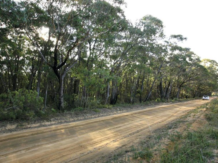 Bicentennial trail, Gardens of Stone National Park. Photo: R Nicolai/NSW Government