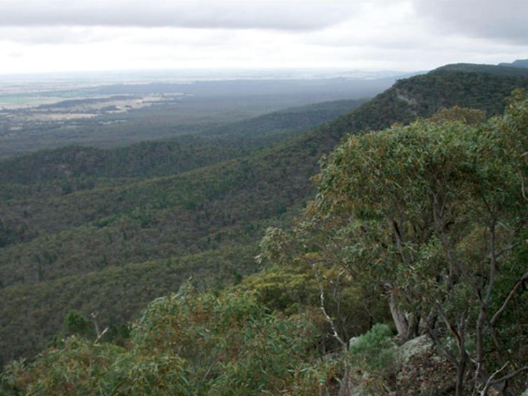 Burrabadine Peak, Goobang National Park. Photo: Amanda Lavender &copy; DPIE