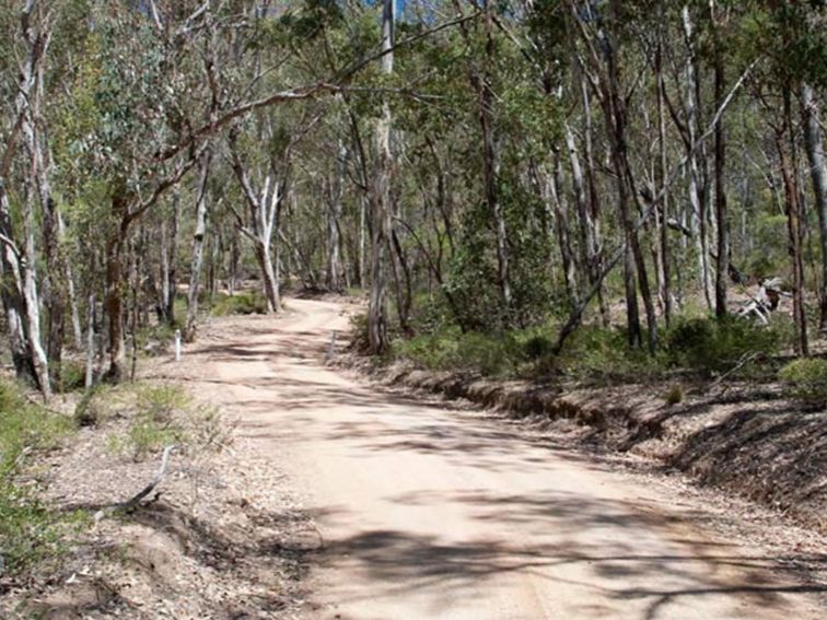 Goulburn River National Park | NSW Government