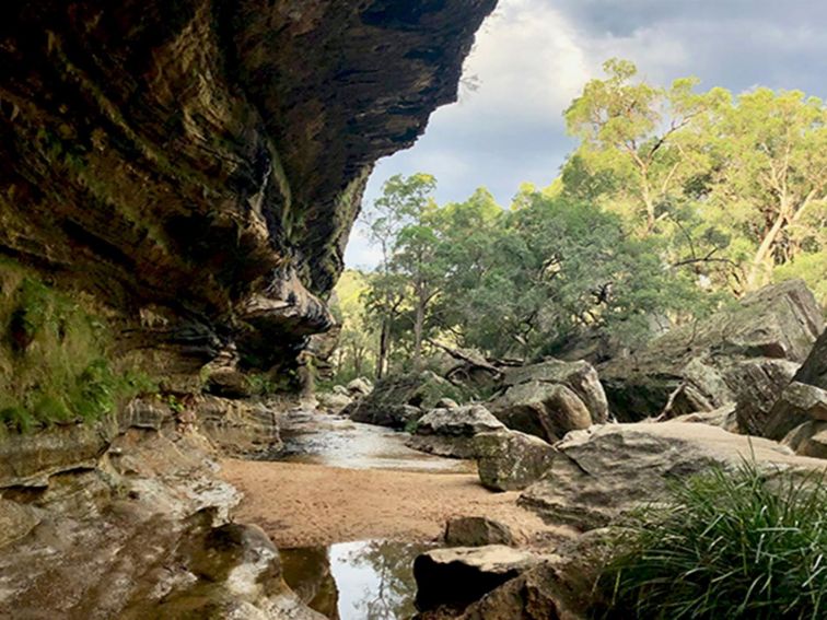 Goulburn River flowing beneath The Drip, in Goulburn River State Conservation Area. Credit: Natasha