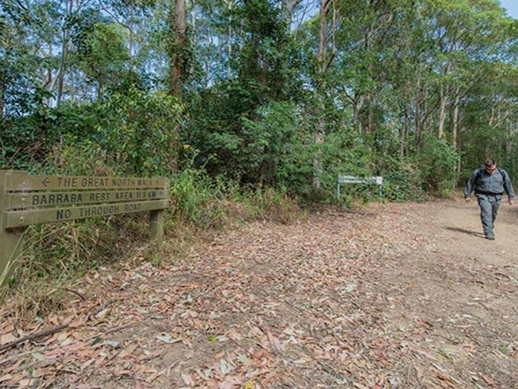 Great North walk, Watagans National Park. Photo: John Spencer &copy; DPIE