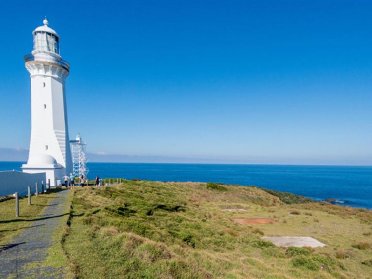 Walkway leading to Green Cape Lighthouse set on green, grassy coastal terrain. Photo: John Spencer