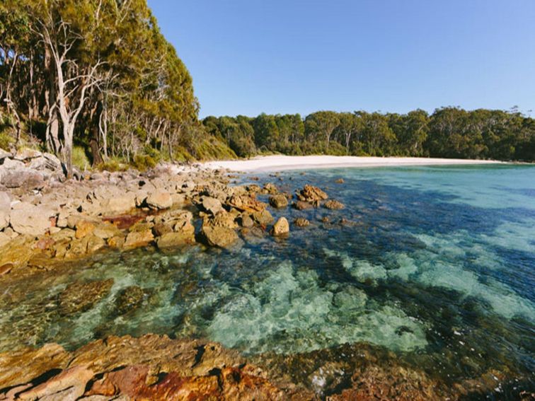 Greenfield Beach Picnic Area | NSW Government