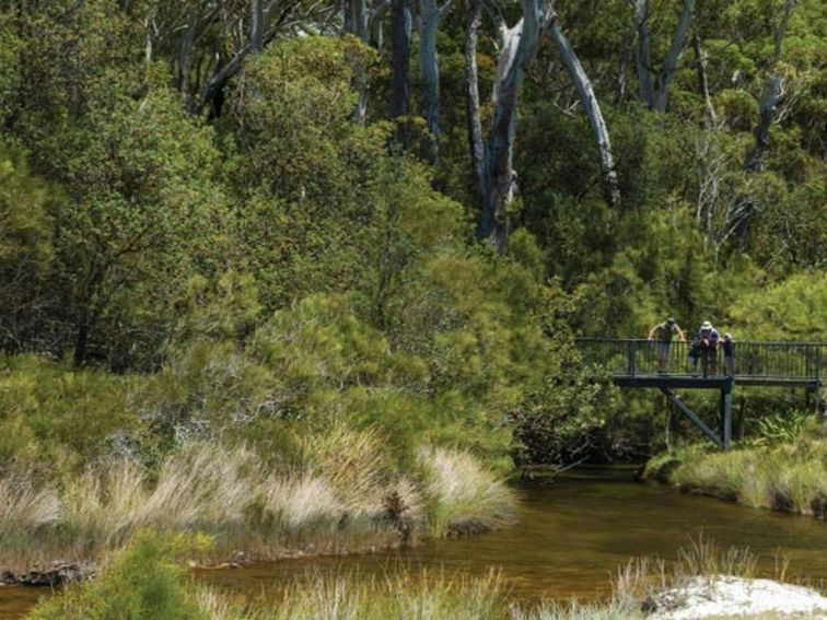 People stand on a bridge over a creek on White Sands walk. Photo: David Finnegan &copy; DPIE